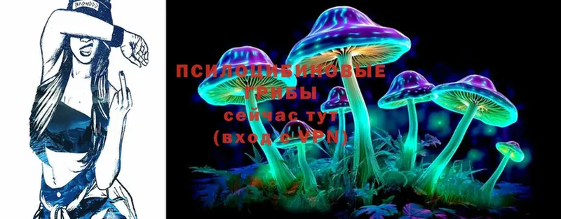 Псилоцибиновые грибы MAGIC MUSHROOMS  Злынка 